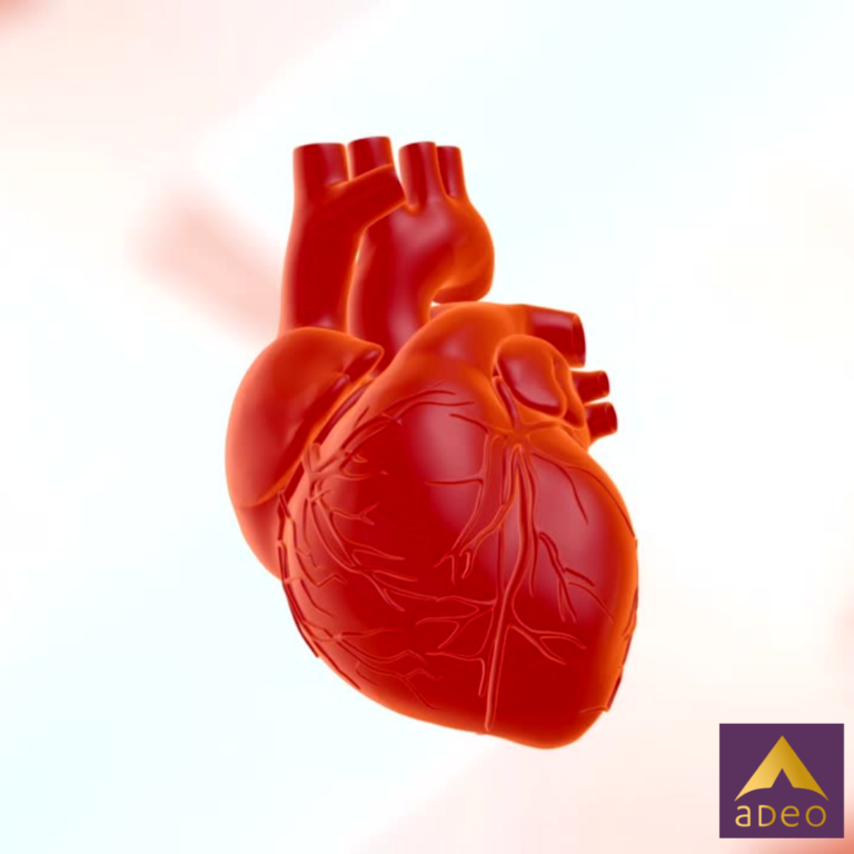 Physical Therapy and Your Heart